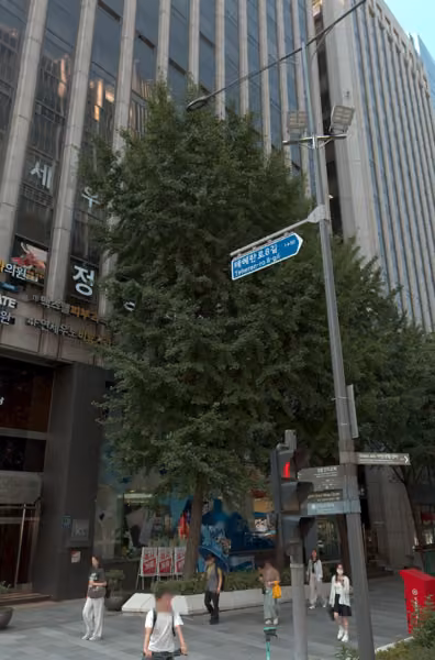tree photo