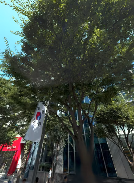 tree photo