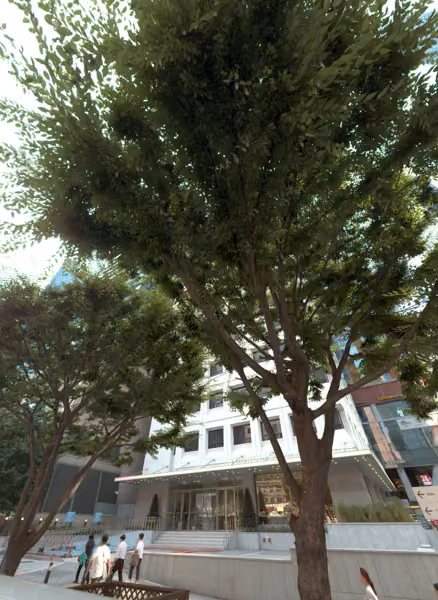tree photo