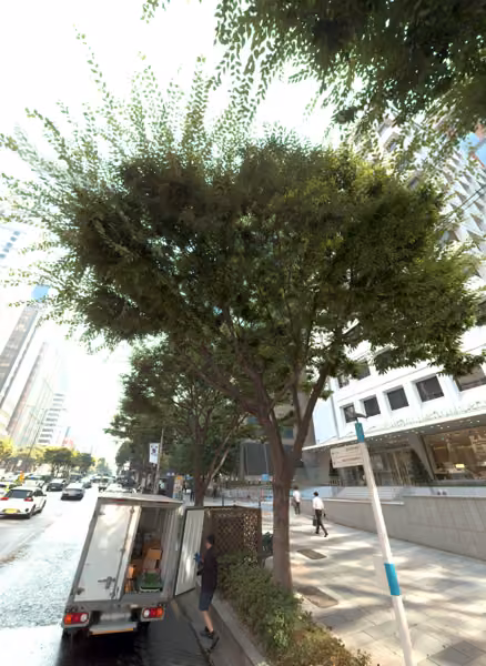 tree photo