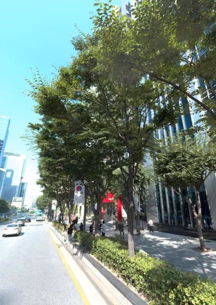 tree photo