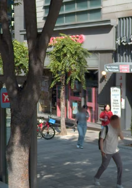 tree photo