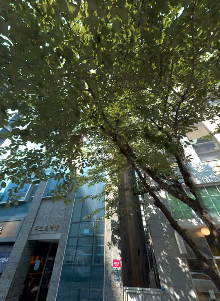tree photo