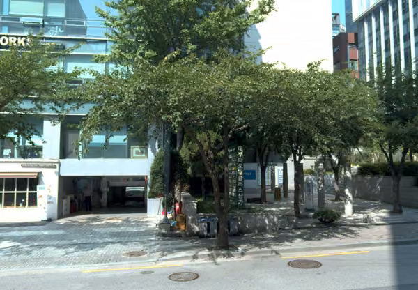 tree photo