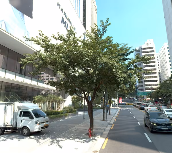 tree photo