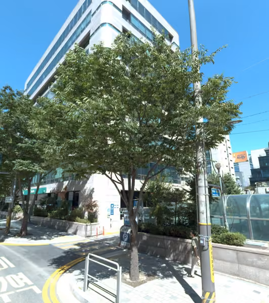 tree photo