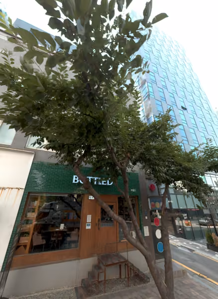 tree photo