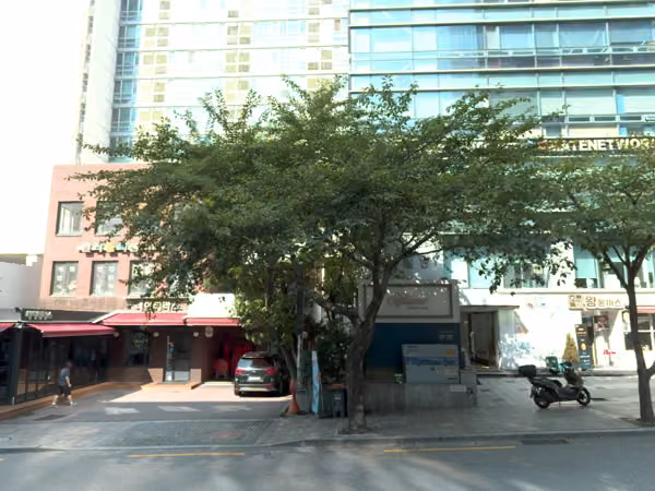 tree photo