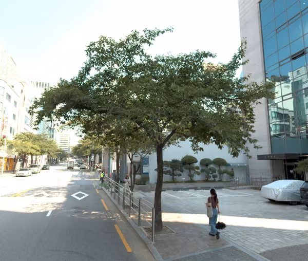 tree photo