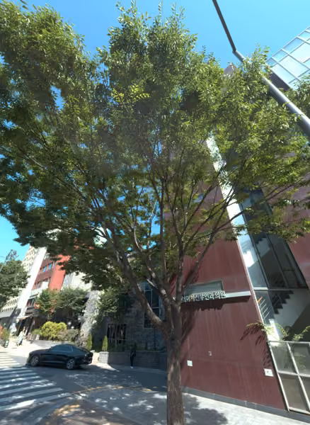 tree photo