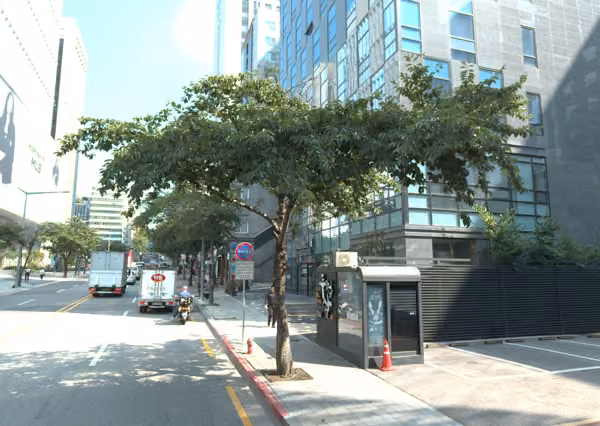 tree photo