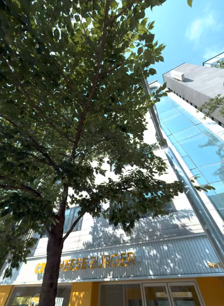 tree photo