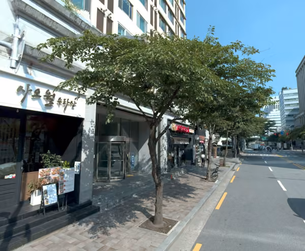 tree photo