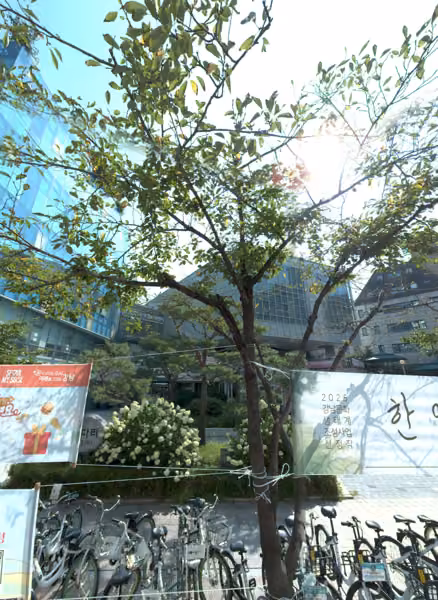 tree photo