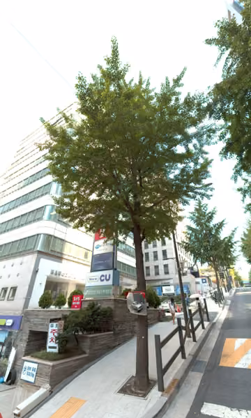 tree photo