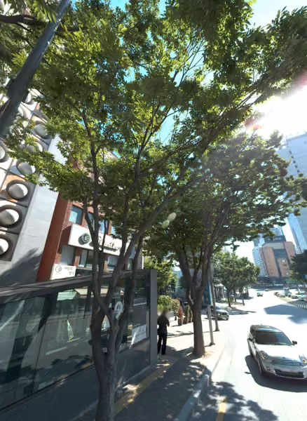 tree photo
