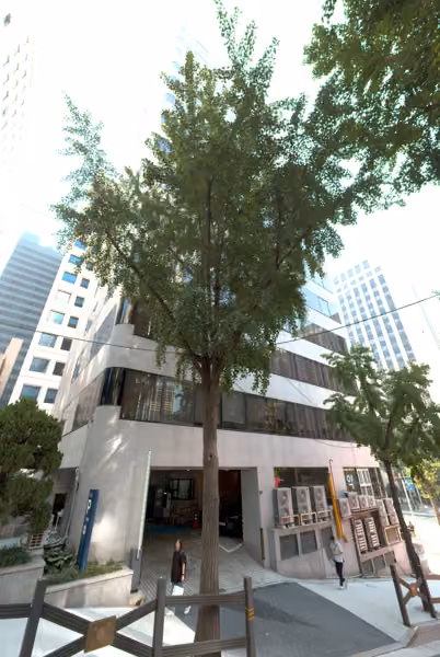 tree photo