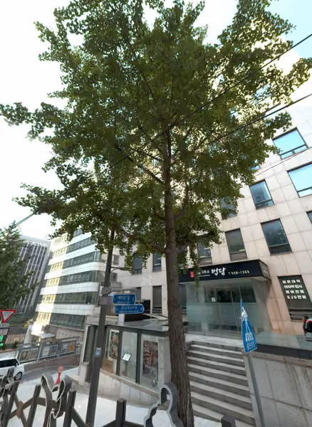 tree photo
