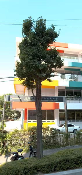 tree photo