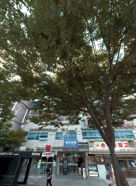 tree photo
