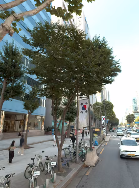 tree photo