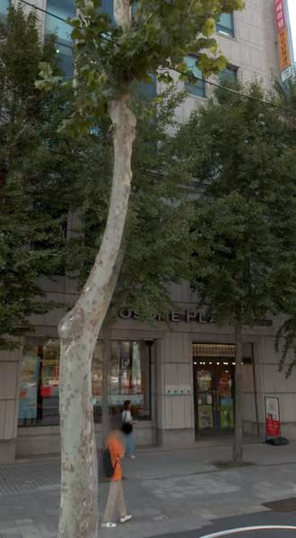 tree photo