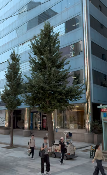 tree photo