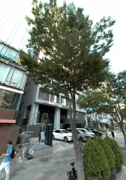 tree photo