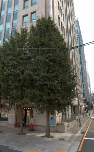 tree photo