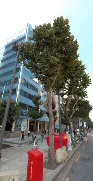 tree photo