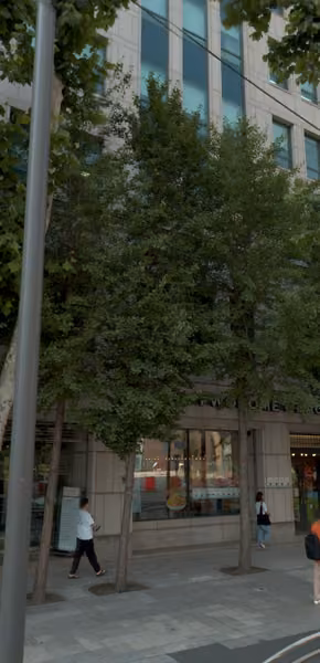 tree photo