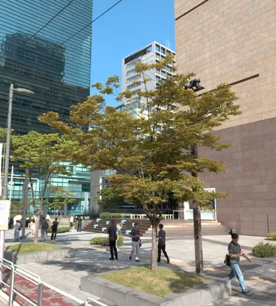 tree photo