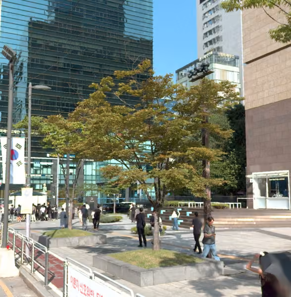 tree photo