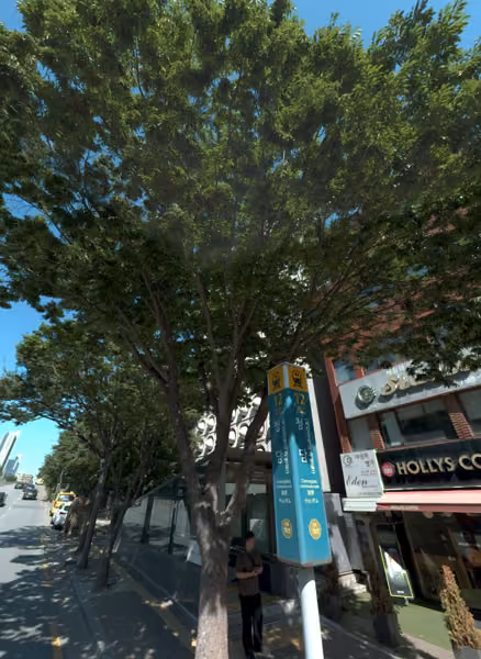 tree photo