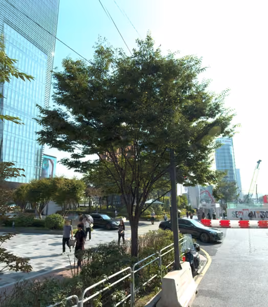 tree photo