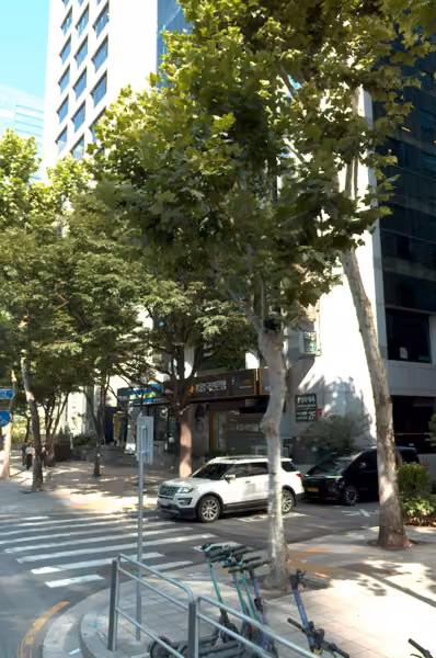 tree photo