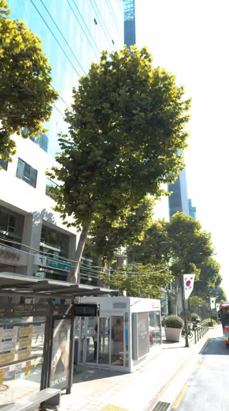 tree photo