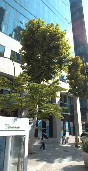 tree photo