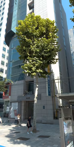 tree photo