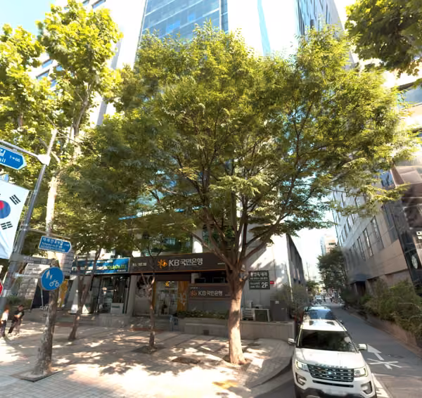 tree photo