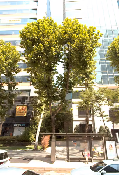 tree photo