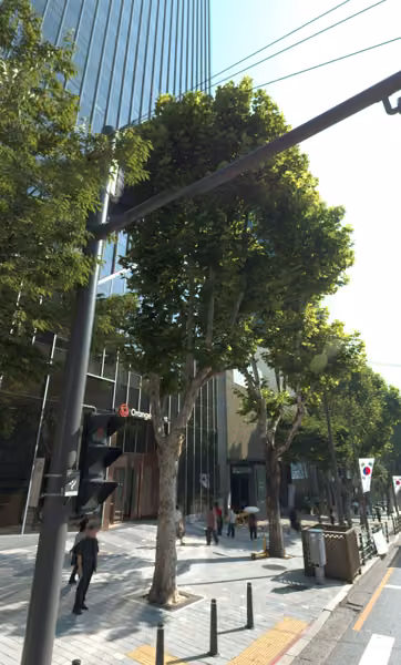 tree photo