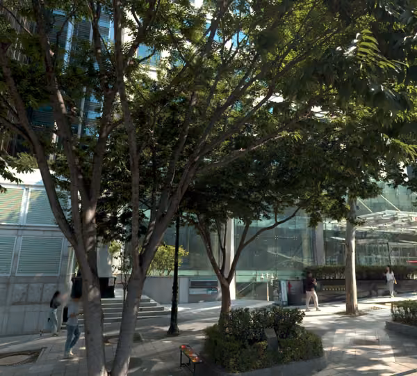 tree photo