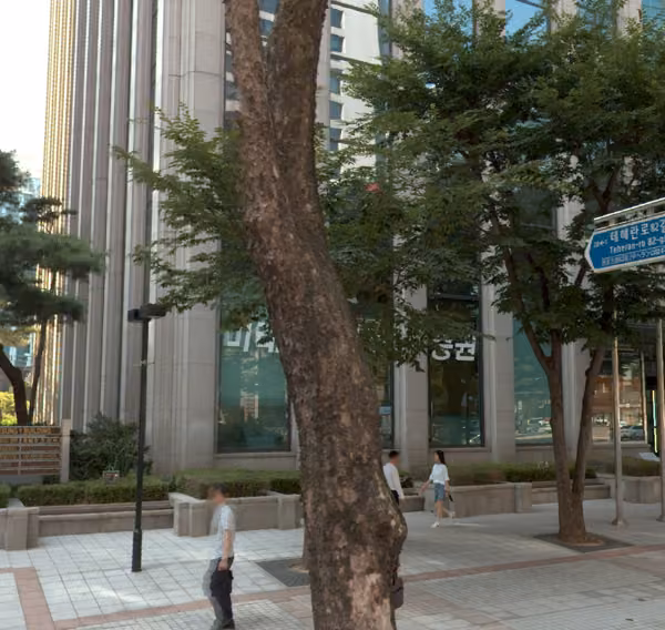 tree photo
