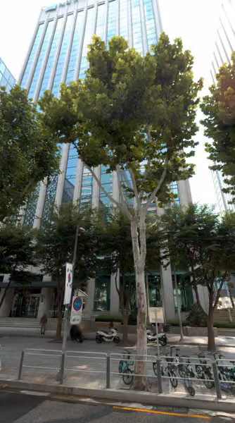tree photo