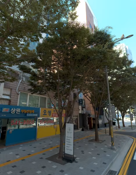 tree photo