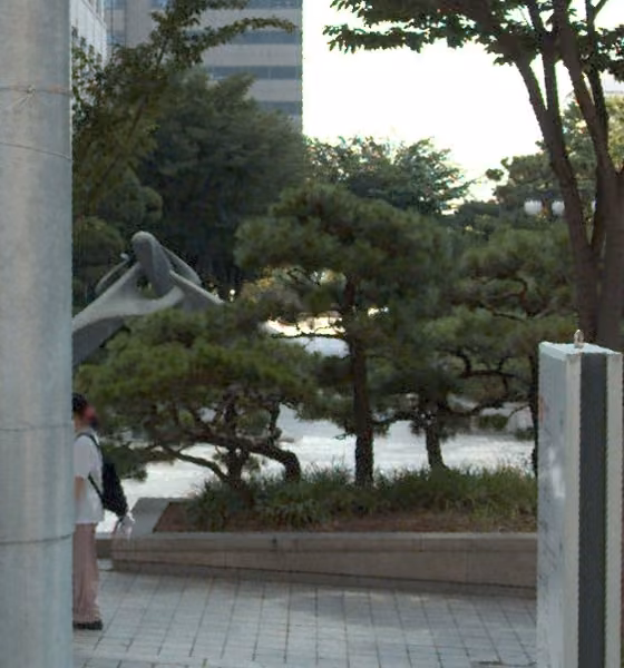 tree photo