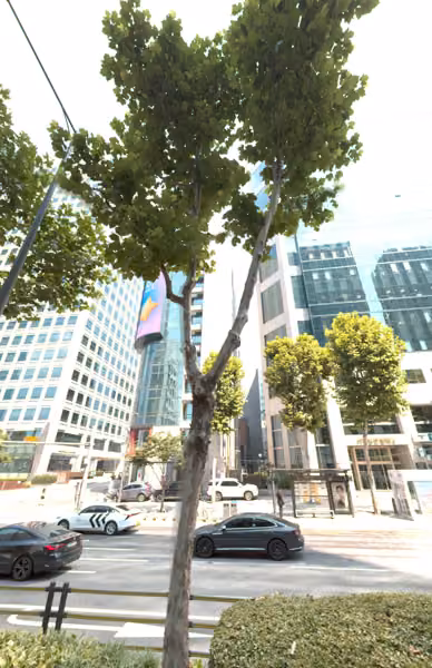 tree photo
