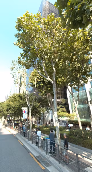 tree photo