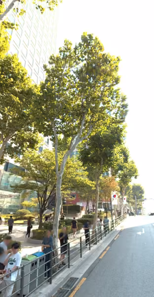 tree photo